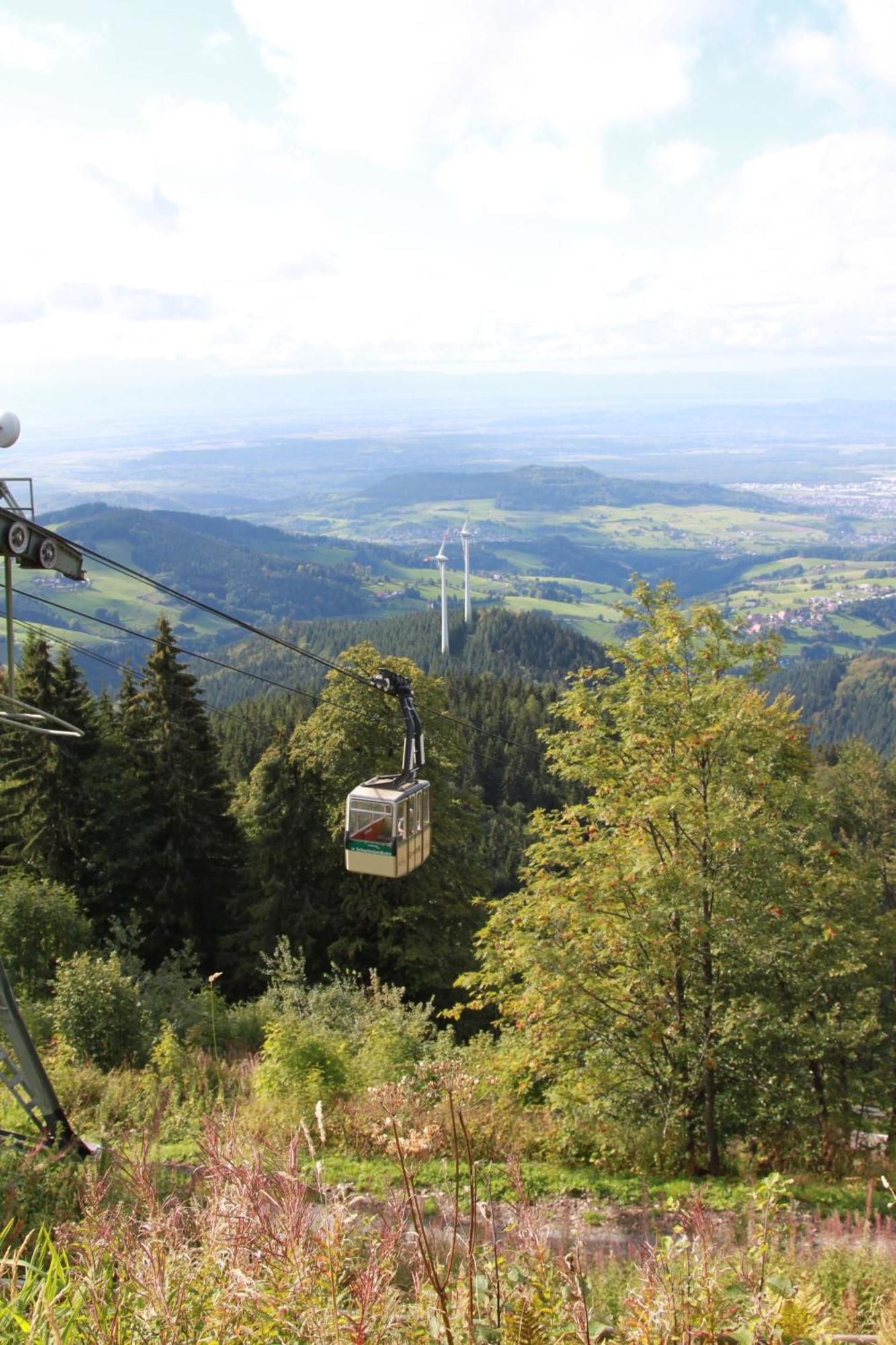Ferienwohnung Seeblick Nr 2 5-Zimmerwohnung - Feldberg Baerental Rotwasser Dış mekan fotoğraf