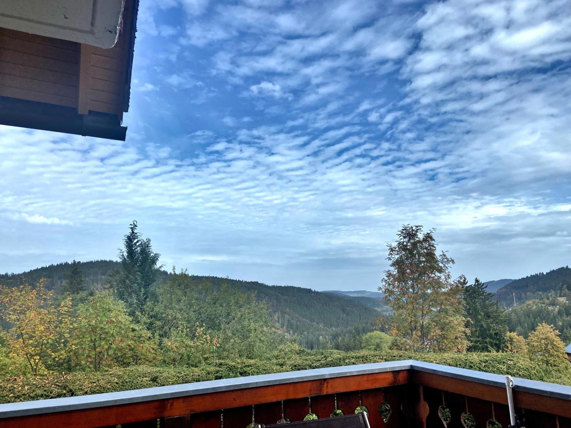 Ferienwohnung Seeblick Nr 2 5-Zimmerwohnung - Feldberg Baerental Rotwasser Dış mekan fotoğraf